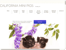 Tablet Screenshot of californiaminipigs.com